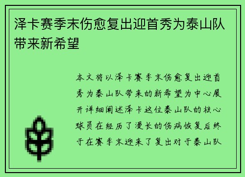 泽卡赛季末伤愈复出迎首秀为泰山队带来新希望
